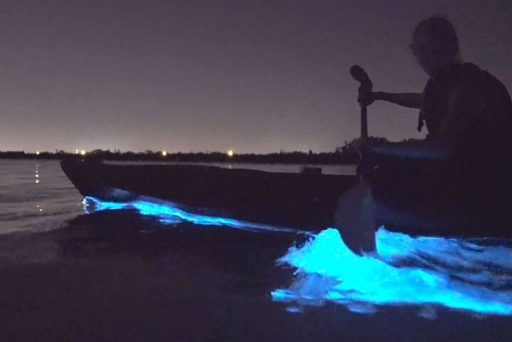 Bioluminescence Clear Kayak & Paddleboard Tour – Near Orlando - Photo 1 of 13